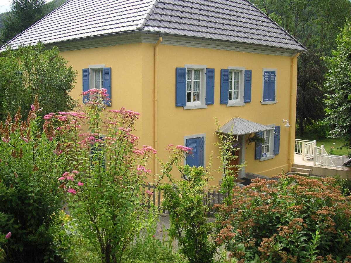Les Volets Bleus Alsace Vosges Bed & Breakfast Urbes Bagian luar foto